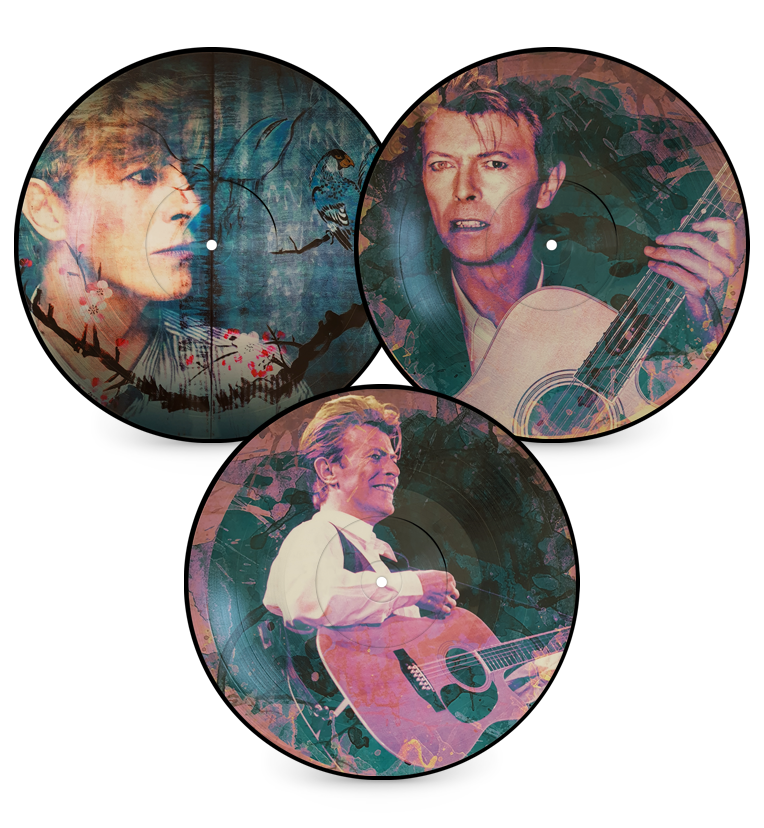 David Bowie - Sounds and Visions in Japan (Limited Edition Numbered Triple Album Picture Disc Box Set Including Book and Playing Cards)