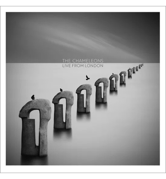 The Chameleons - Live from London (12-inch Double Album on Clear Vinyl)
