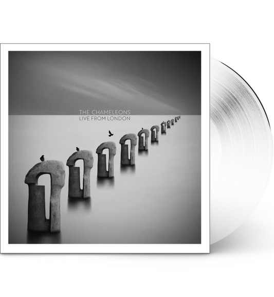 The Chameleons - Live from London (12-inch Double Album on Clear Vinyl)