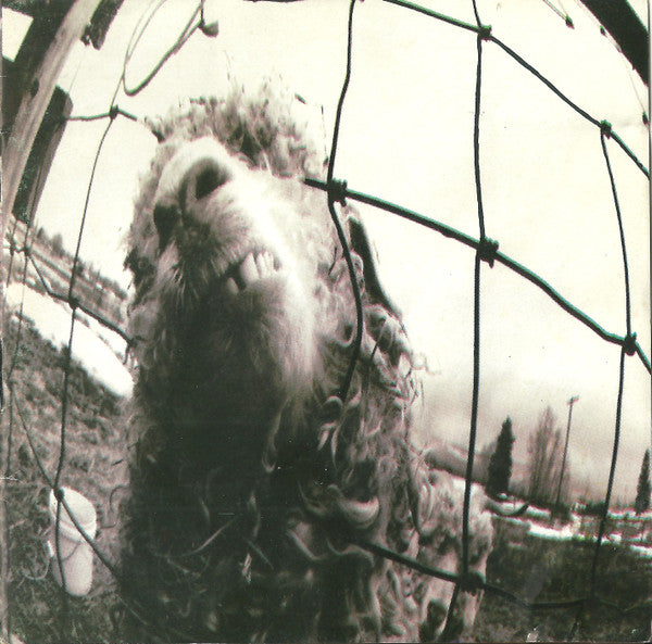 Pearl Jam - Vs.: CD (Pre-loved & Refurbed)