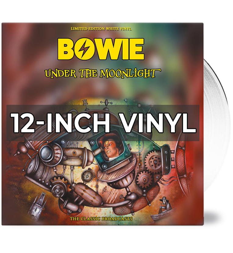 12-INCH VINYL