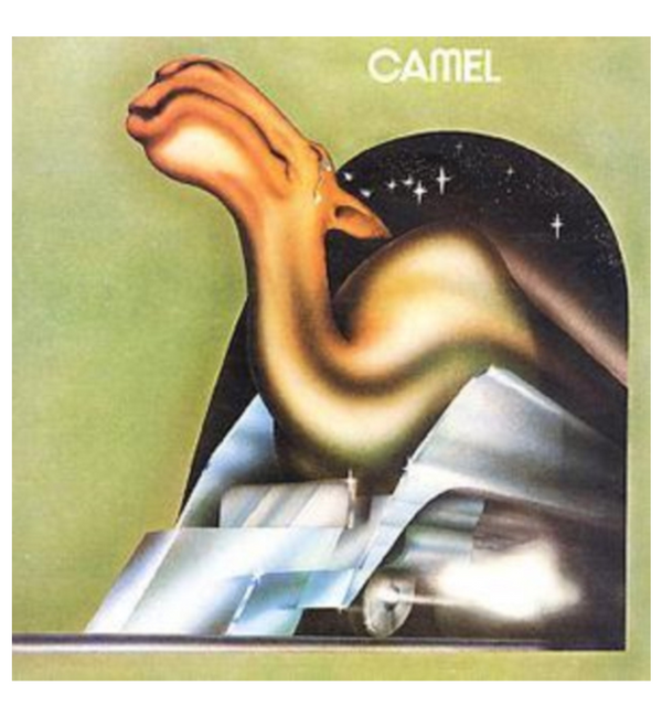 CAMEL