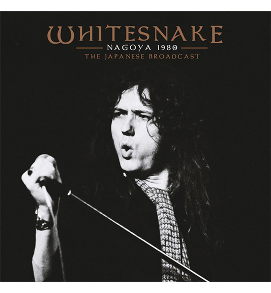 プロモーション用・非売品カセットテープ ジミーペイジ whitesnake プロモーション用・非売品カセットテープ ジミーペイジ whitesnake