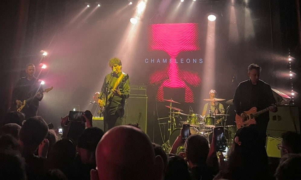 THE CHAMELEONS History